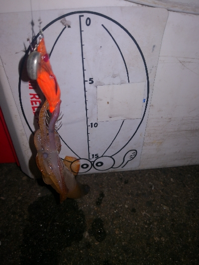 アジング練習364 ライトエギング