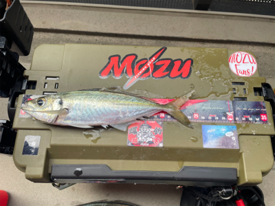 前日激渋からのぉ〜