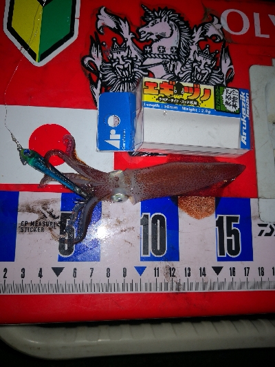 アジング練習366   ソアレXR C2000SSPG