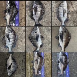 イチノ兄弟、釣果！