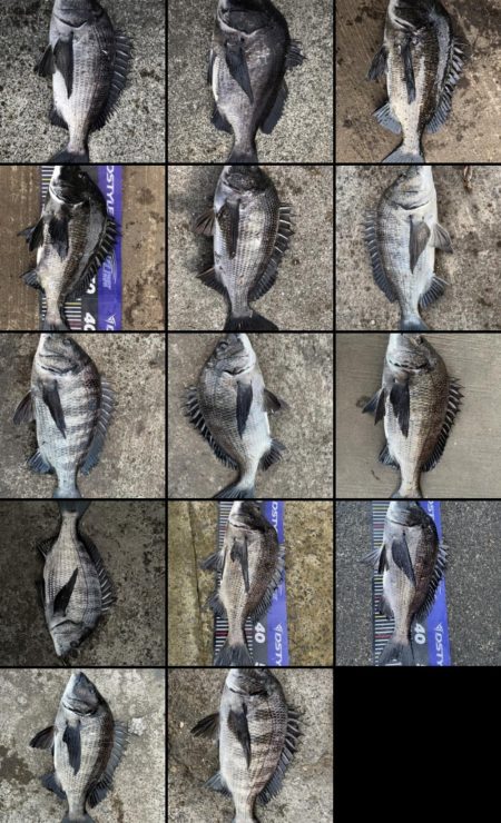 イチノ兄弟、釣果！