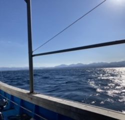 オフショアジギング