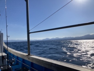 オフショアジギング