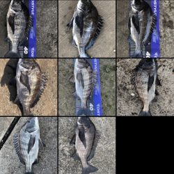 イチノ兄弟、釣果!