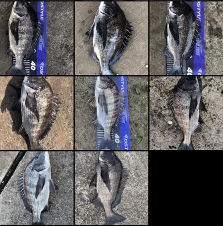 イチノ兄弟、釣果!