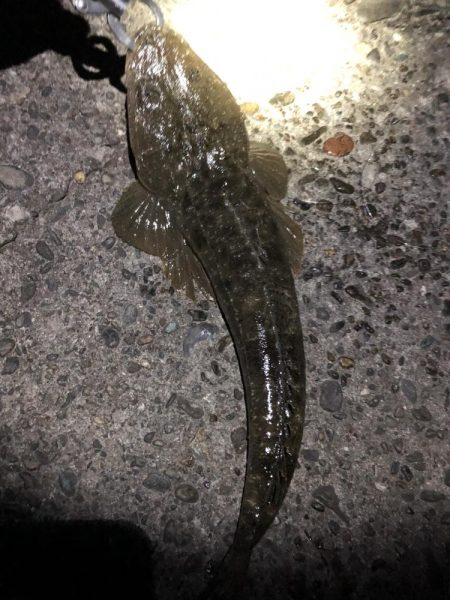 新規開拓からのやっぱりホーム