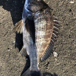 イチノ兄弟、釣果!