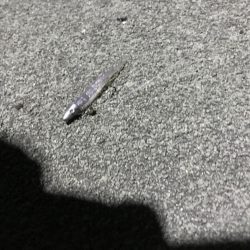 またあなたか〜