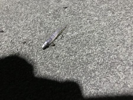 またあなたか〜