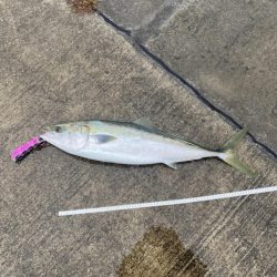 １０投だけいいよ、と言われて