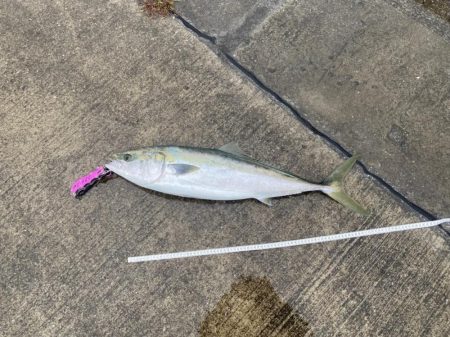 １０投だけいいよ、と言われて