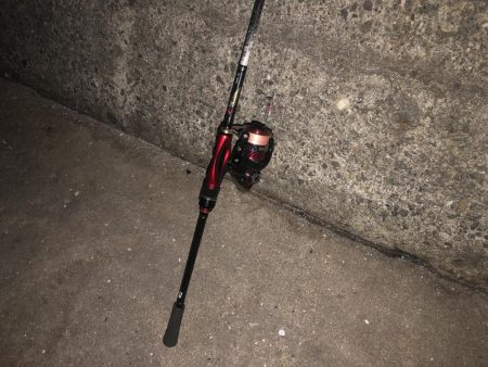 100均ルアーが釣れる理由