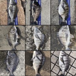 イチノ兄弟、釣果!