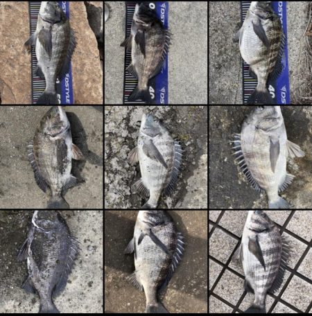 イチノ兄弟、釣果!