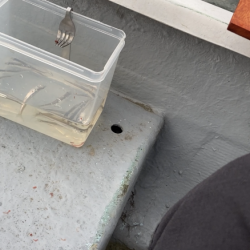 入鹿池でワカサギ釣り