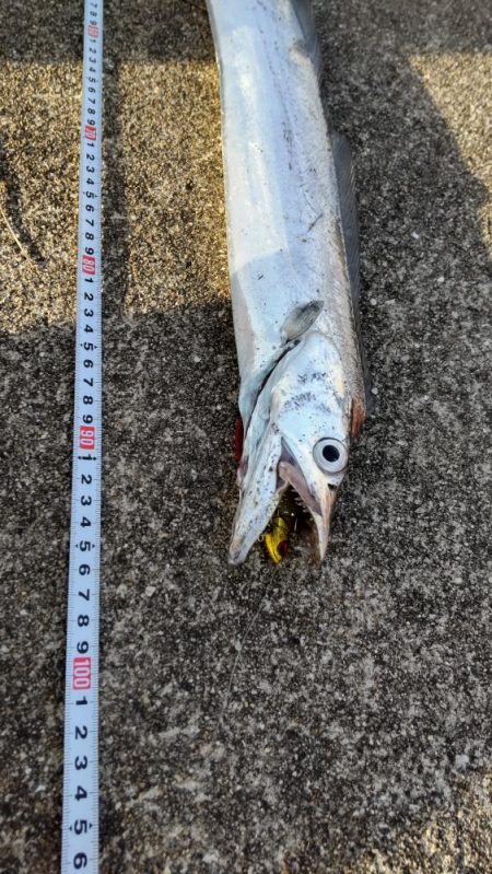 おせちの刺身ゲット！