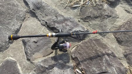 やっとドラゴンに出会えました。