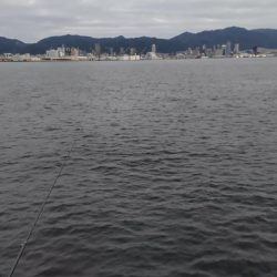 尺アジつれたよ!