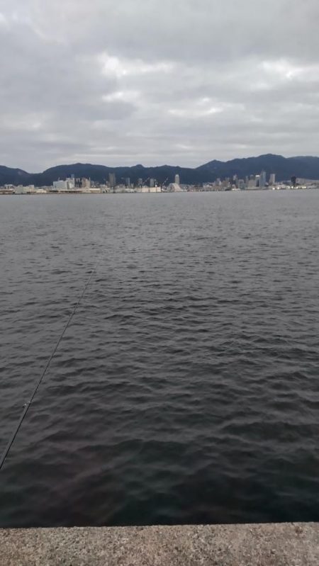 尺アジつれたよ!