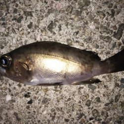 クリア レッドFlk.カラー大当たり