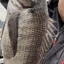 バラした魚は大きい！