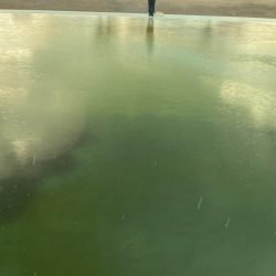 亀岡市で鱒釣り