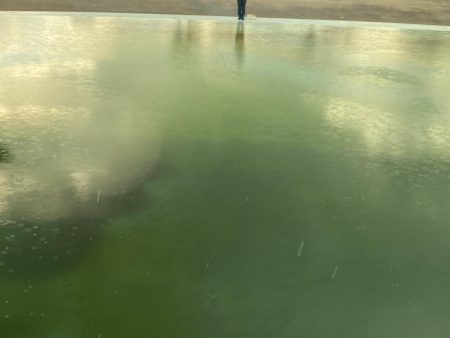 亀岡市で鱒釣り