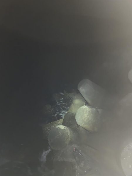 2022年 初アオリイカ!!GET!!