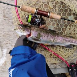 2022年初釣りは息子と楽しい管釣り！