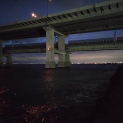 新春メバリング