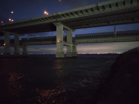 新春メバリング