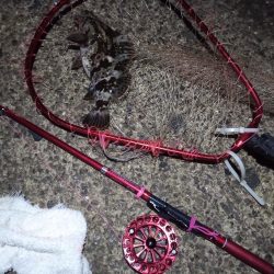 2022/01/01 南港ヘチ釣り