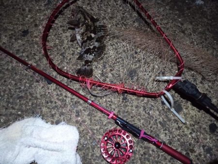 2022/01/01 南港ヘチ釣り