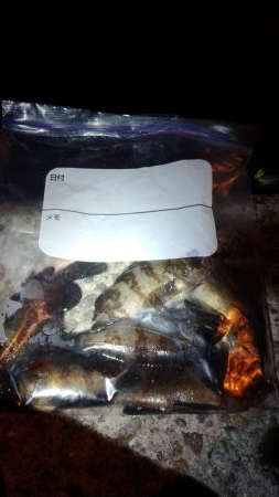 メバルの煮付が食べたくて