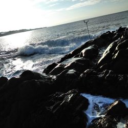 フカセ‥釣れないですネ・・