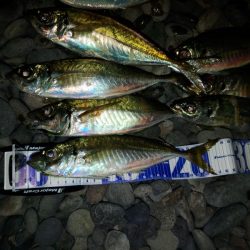 フロートゲーム～