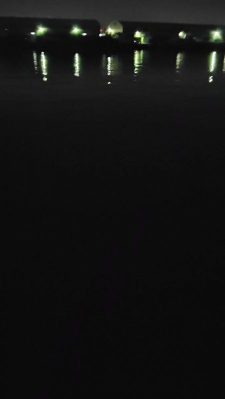 ぶらシーバス!!