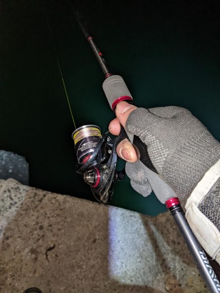 ヒイカと耳イカちゃん