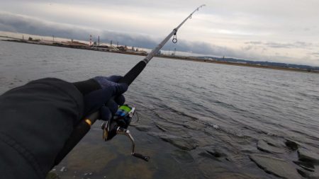 コノシロパターン