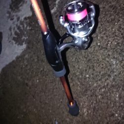 自己記録更新ならず!