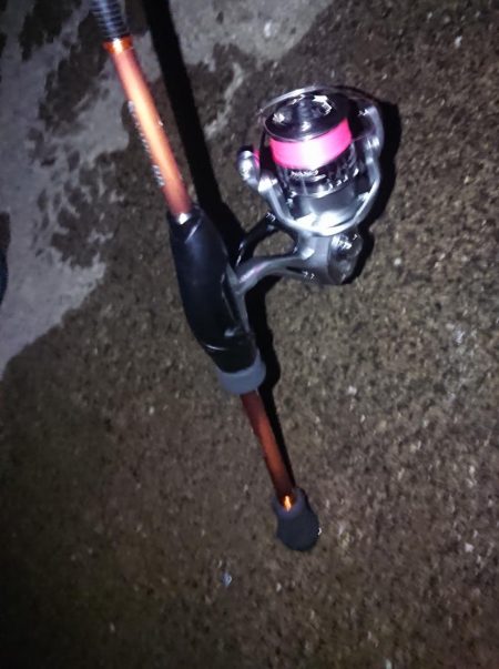 自己記録更新ならず!