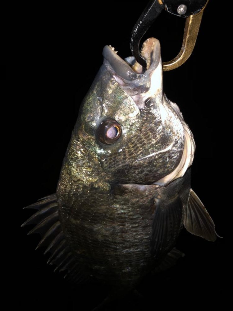 あたりはあるが