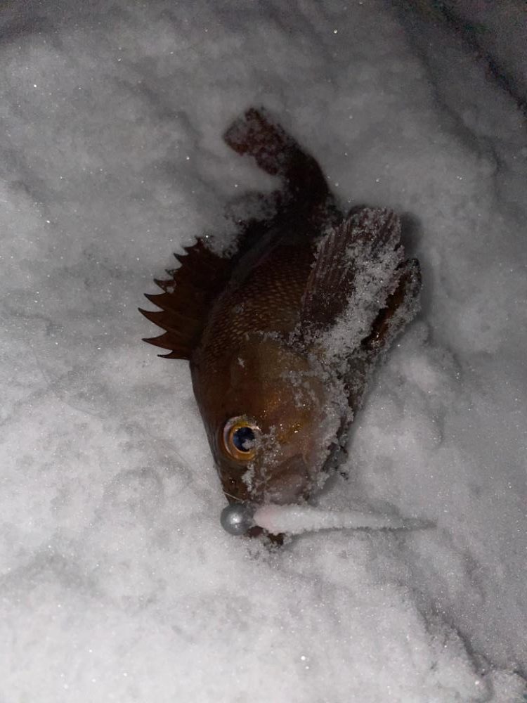 寒い時こそライトゲーム