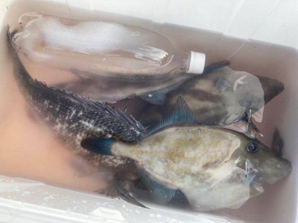 今年初激寒フカセ