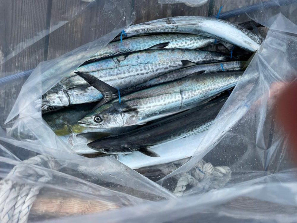 丹後沖ジギング