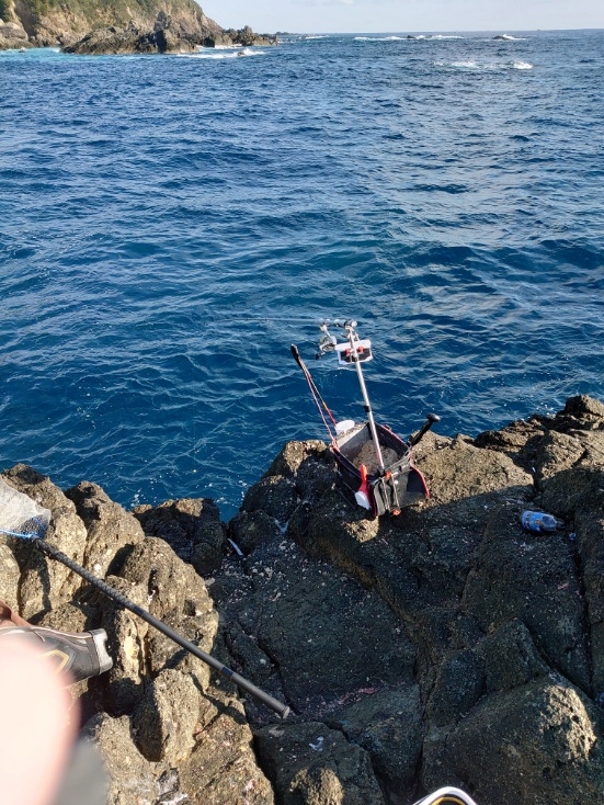 樫野でグレ釣り