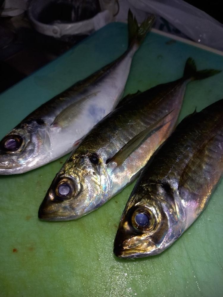 病院が早く終わったので…