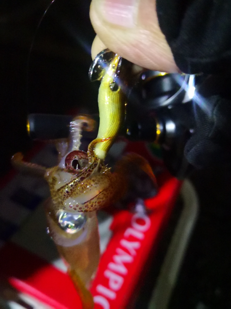 アジング練習369 ライトエギング