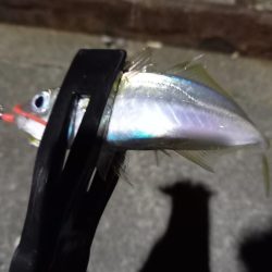 一年に一回は長島へ