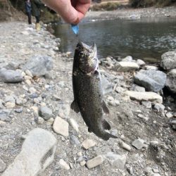 激寒の管理釣り場